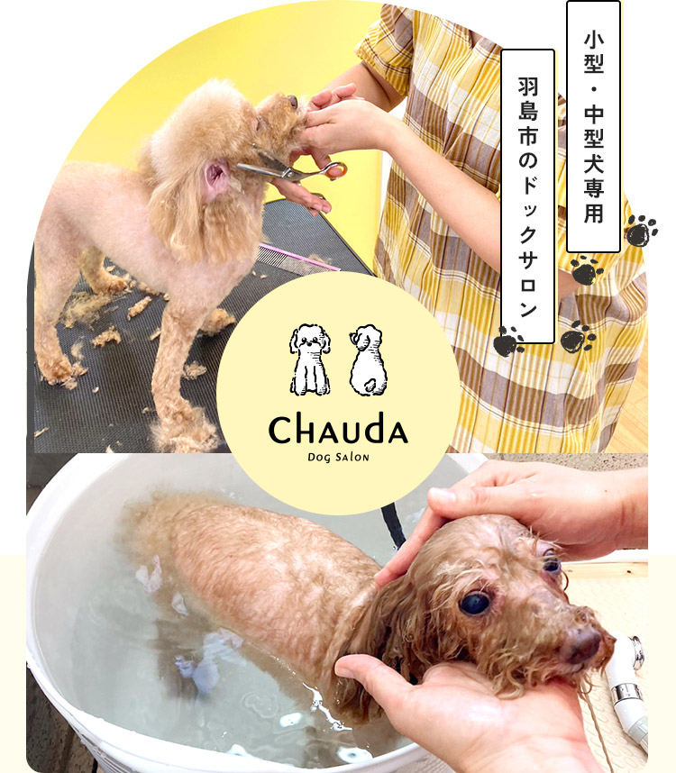 小型・中型犬専用 羽島市のドックサロンCHAUDA